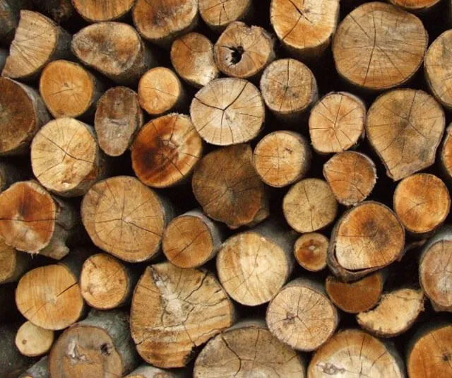 Какими дровами топить баню: как топить лучше и чем правильно, как .