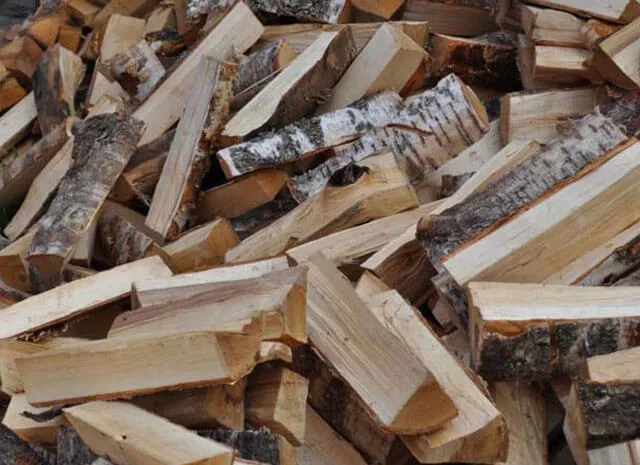 Какими дровами топить баню: как топить лучше и чем правильно, как .